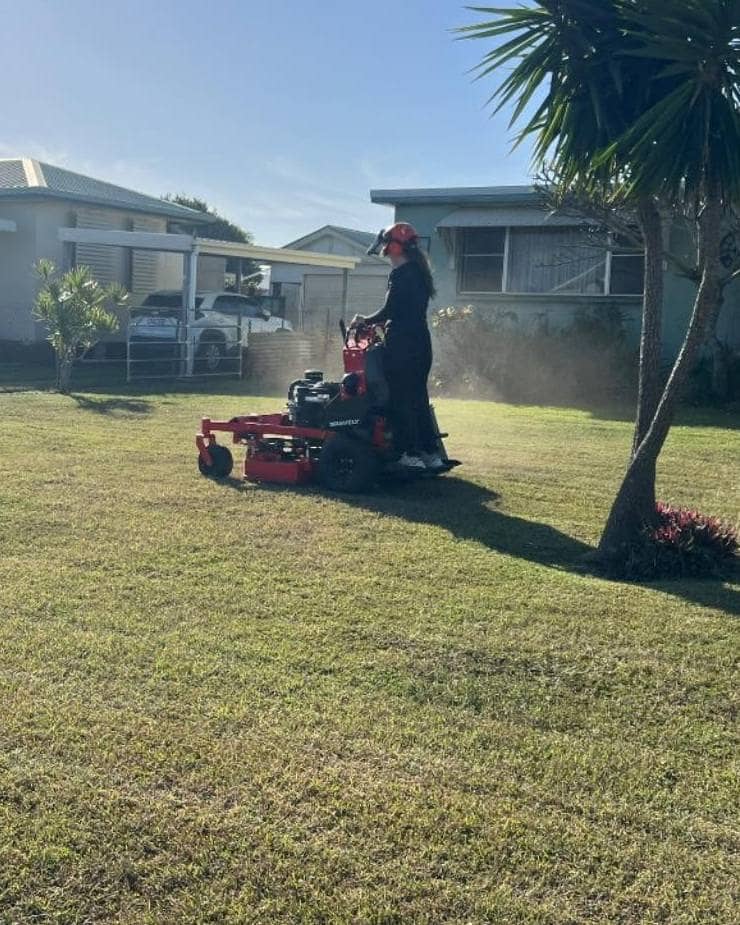 A person on a stand-on mower cutting a lawn beside a cordyline palm