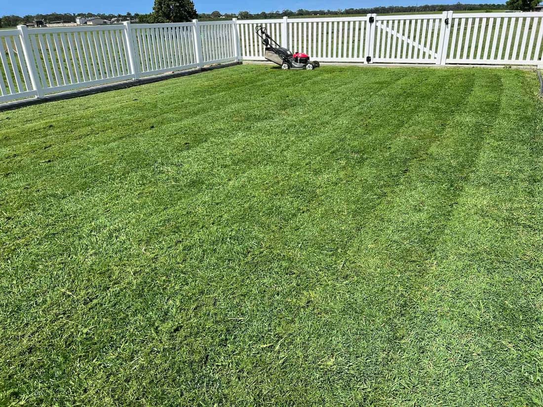 A driveway and garage in warm afternoon light beside a cut lawn