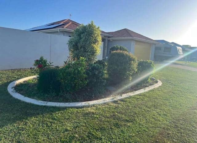 A front garden of shaped shrubs beside a mown lawn