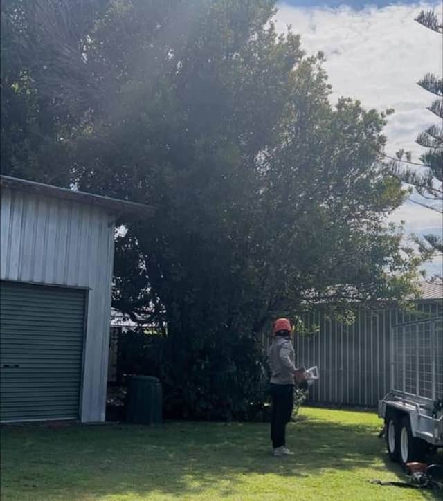 A worker with a blower clearing beside a shed